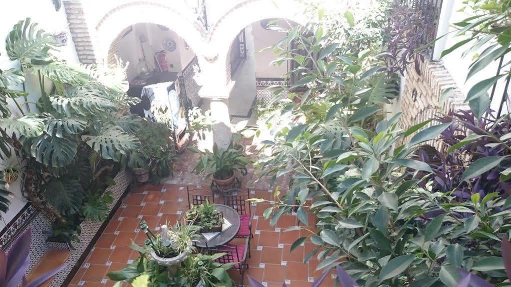 קורדובה Pension Los Arcos מראה חיצוני תמונה